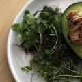 Салаты с авокадо и консервированным тунцом — простые и вкусные рецепты